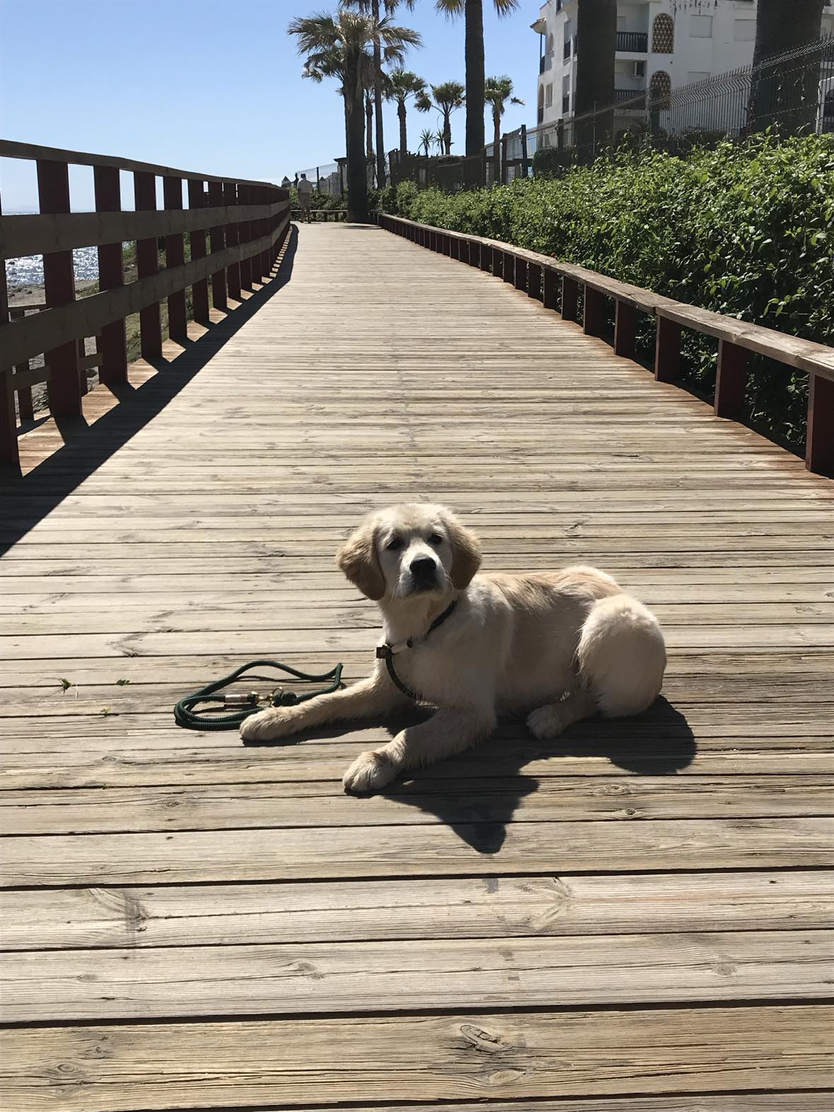 DIY home improvement project using Grindy fasteners