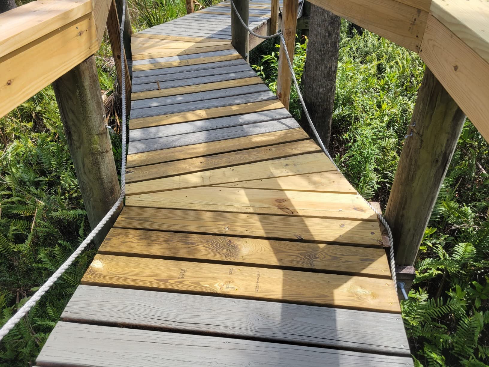 Fence framing project using Grindy stainless steel screws